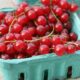 La torta ribes e cioccolato per il dessert facile e goloso