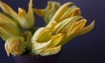 I fiori di zucca in pastella con la ricetta per il Bimby