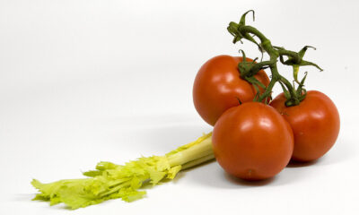 Il sedano al pomodoro con la ricetta facile