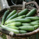 Le zucchine alle spezie per un contorno gustoso