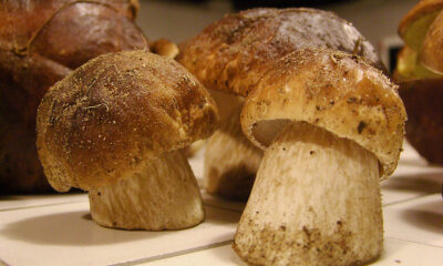 Funghi porcini con patate al forno per un contorno ricco