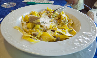 La pasta ai porcini e panna per un primo sfizioso