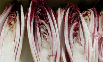 La torta salata al radicchio e taleggio con la ricetta per il Bimby