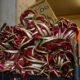 La pasta radicchio e noci con la ricetta per Il Bimby