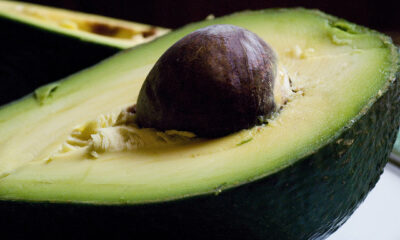 Come preparare l'avocado con yogurt con la ricetta veloce