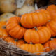 Ecco la pasta alla zucca e funghi secchi per un primo gustoso