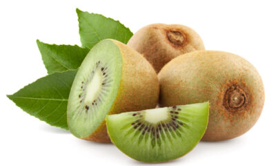 Ricette a base di kiwi | Menu