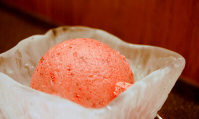 gelato lamponi ricetta Bimby