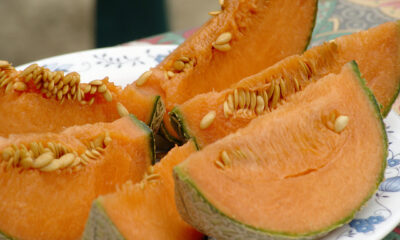 crostata melone Bimby