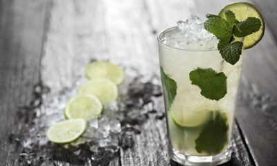 sorbetto mojito