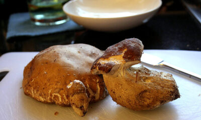 insalata porcini grana ricetta sfiziosa