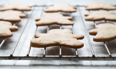 biscotti arancia cannella ricetta vegan