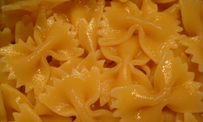 farfalle zucca Cotto Mangiato