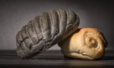 pane al carbone vegetale