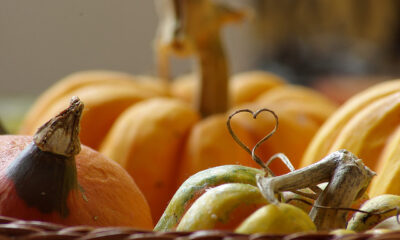 Zucca carote padella contorno sano