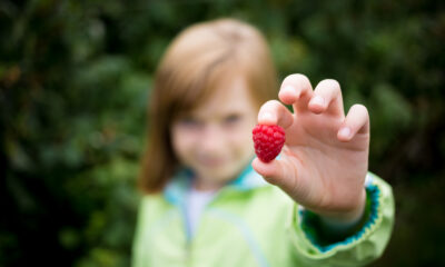 5 ricette con la frutta estiva per bambini