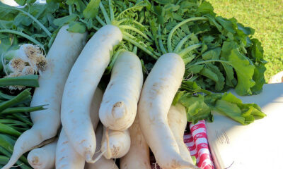 Come fare il daikon al forno con patate, la ricetta del contorno