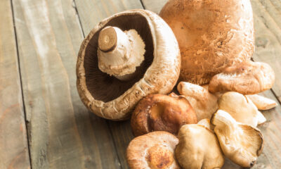 I funghi fritti alla toscana con la ricetta veloce