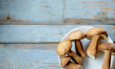 Ecco i funghi porcini trifolati con cipolla per un contorno gustoso