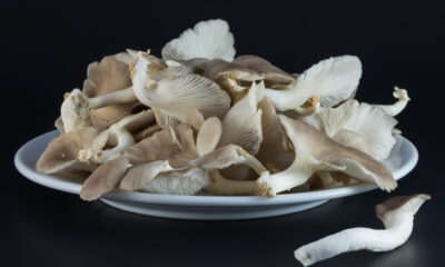 Le cotolette di funghi con la ricetta vegan