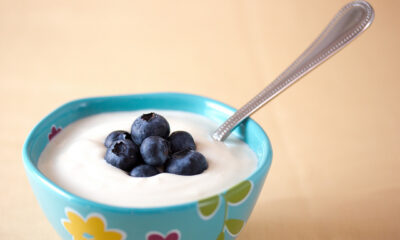 Lo yogurt fatto in casa con latte di riso