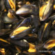 Cozze alla thailandese