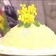 La video ricetta dello zuccotto mimosa della Prova del Cuoco