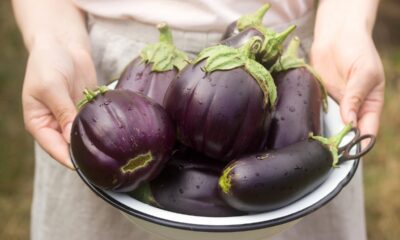 Chips di melanzane