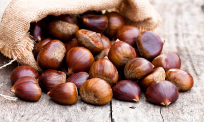 Castagne