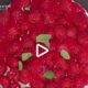 Cheesecake di lamponi e menta della Prova del cuoco: la video ricetta