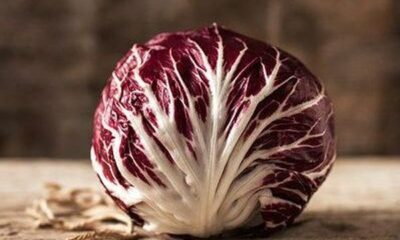 Radicchio di Chioggia: cos'è e come usarlo in cucina