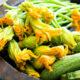 Fiori di zucca in padella con zucchine, la ricetta leggera