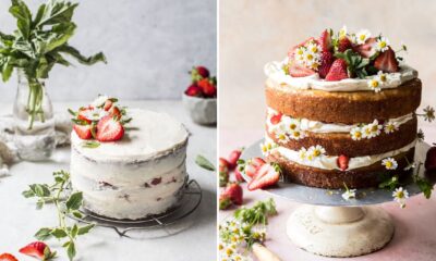 torta con fragole, panna e ricotta