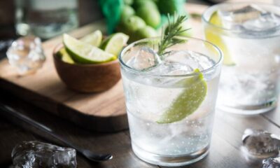 Gin tonic, dosi e ricetta