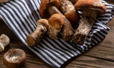 Funghi porcini: le ricette dei contorni da provare