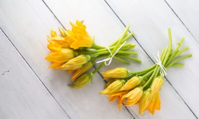 fiori di zucca