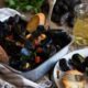 Antipasto di pesce facile e veloce? Le cozze alla marinara