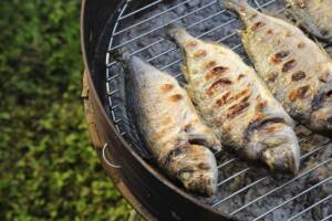 Orata alla griglia: la ricetta perfetta per una grigliata di pesce