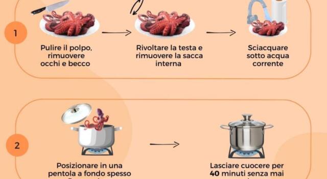 Come cucinare il polpo? Cottura, trucchi e consigli per averlo tenerissimo!