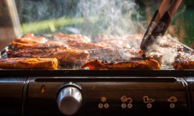 Barbecue elettrico per grigliata