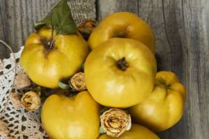 Come fare la marmellata di mele cotogne con bimby: la ricetta!